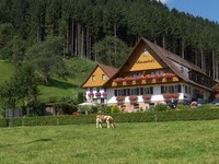 Ferienhäuser im Schwarzwald