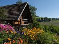 Bauernhöfe im Schwarzwald