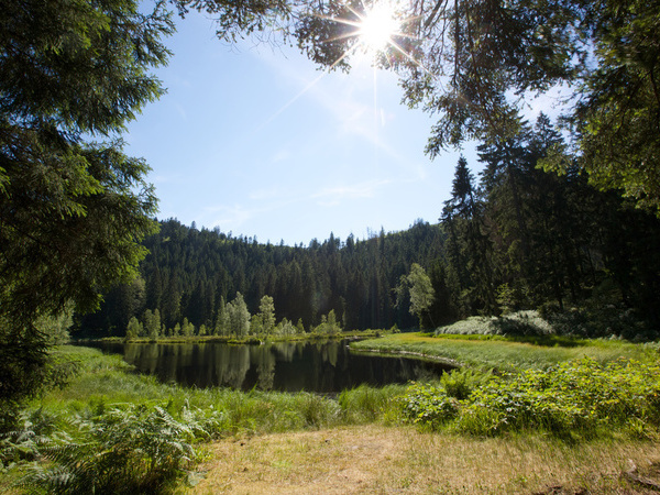 Buhlbachsee Bildnachweis: Ulrike Klumpp