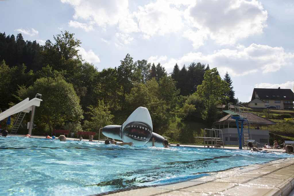 Freibad Klosterreichenbach in Klosterreichenbach im