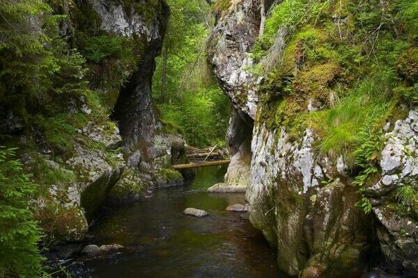 Haslachschlucht Bildnachweis: Mit freundlicher Genehmigung der Hochschwarzwald Tourismus GmbH | &copy; Haderer