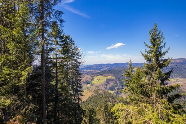 (c) Bad Peterstal-Griesbach (c) Bad Peterstal-Griesbach