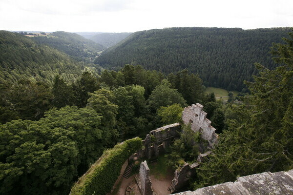 Copyright: (Mit freundlicher Genehmigung der Teinachtal Touristik)  Copyright: (Mit freundlicher Genehmigung der Teinachtal Touristik)