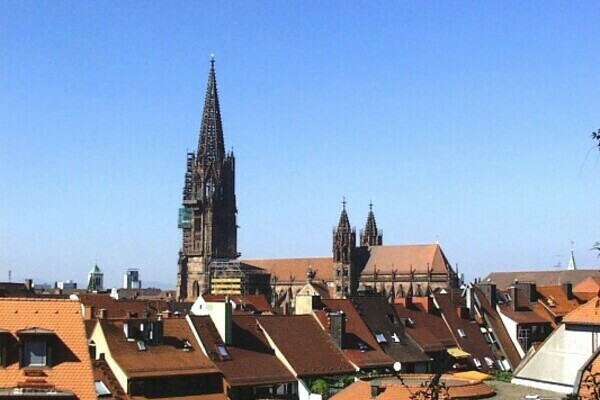 Freiburger M�nster