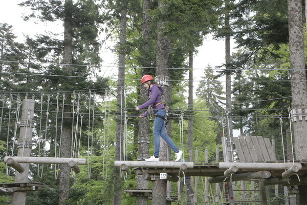 Hochseilgarten Mehliskopf Copyright: ( Freizeit- und Sport-Zentrum-Mehliskopf GmbH & Co. KG )