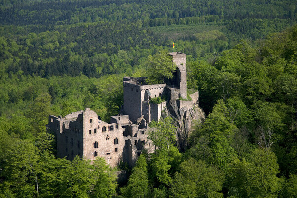  Copyright: (Mit freundlicher Genehmigung von Staatliche Schlösser und Gärten Ba.-Wü.)