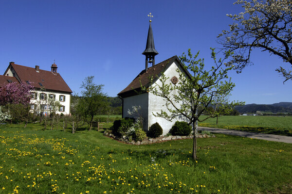 Fr�hling im Breitehof im Attental Copyright: (Tourist-Information Dreisamtal)