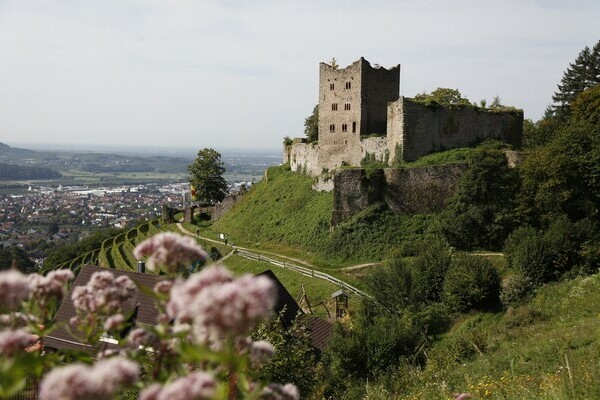Schauenburg Copyright: (© Renchtal Tourismus GmbH) Schauenburg Copyright: (© Renchtal Tourismus GmbH)