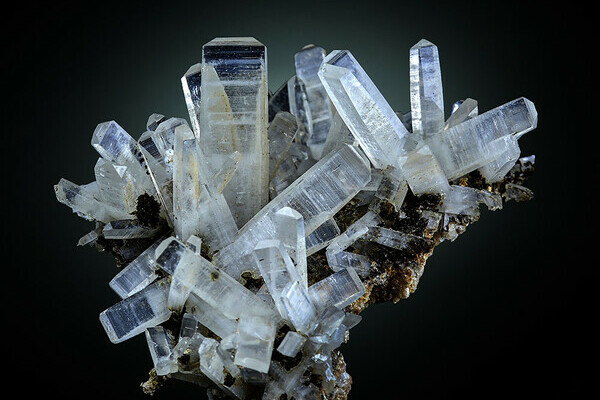 Copyright: (MiMa Museum Oberwolfach)  Copyright: (MiMa Museum Oberwolfach)