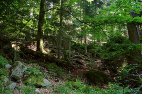 Mit freundlicher Genehmigung der Gemeinde Seewald Mit freundlicher Genehmigung der Gemeinde Seewald