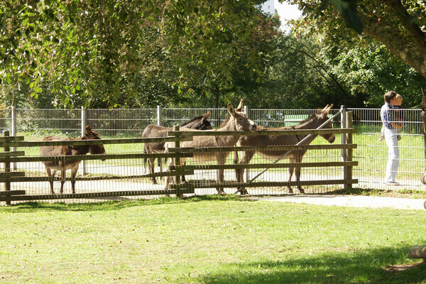 Copyright: (Mit freundlicher Genehmigung der Stadt Offenburg) Copyright: (Mit freundlicher Genehmigung der Stadt Offenburg)
