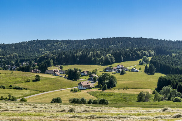 Ausblicke Herrischried Bildnachweis: Hotzenwald Tourismus GmbH