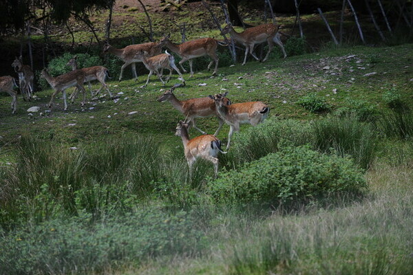 Copyright: (Mit freundlicher Genehmigung der WTVS.)  Copyright: (Mit freundlicher Genehmigung der WTVS.)