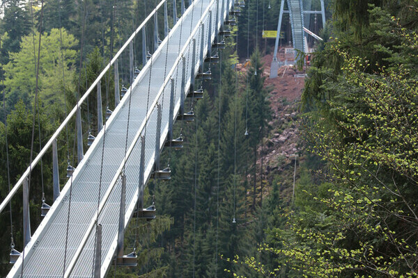 Wildline Hängeseilbrücke Copyright: (Hotel Rothfuss Bad Wildbad)