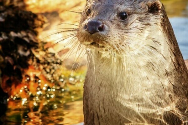 Copyright: (Mit freundlicher Genehmigung der Wirtschaft und Stadtmarketing Pforzheim, Fotograf: Stefan Betz)  Copyright: (Mit freundlicher Genehmigung der Wirtschaft und Stadtmarketing Pforzheim, Fotograf: Stefan Betz)