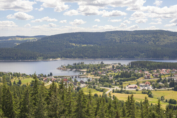 Blick auf Schluchsee vom Riesenbühlturm Copyright: (Hochschwarzwald Tourismus GmbH) Blick auf Schluchsee vom Riesenbühlturm Copyright: (Hochschwarzwald Tourismus GmbH)