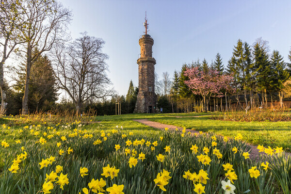 Friedrichsturm Copyright: (© Freudenstadt Tourismus)