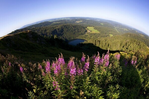 Feldsee - Copyright: Hochschwarzwald Tourismus GmbH