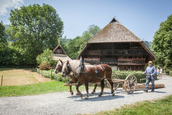 Schwarzwälder Freilichtmuseum Copyright: Mit freundlicher Genehmigung des Schwarzwälder Freilichtmuseum Vogtsbauernhof, Gutach Schwarzwälder Freilichtmuseum Copyright: Mit freundlicher Genehmigung des Schwarzwälder Freilichtmuseum Vogtsbauernhof, Gutach