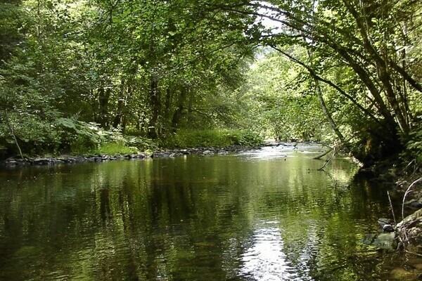 Wutachschlucht Wutachschlucht