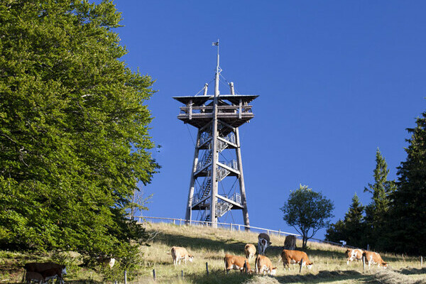 Eugen-Keidel Turm Schauinsland Copyright: (Freiburger Verkehrs AG/ Schauinslandbahn) Eugen-Keidel Turm Schauinsland Copyright: (Freiburger Verkehrs AG/ Schauinslandbahn)
