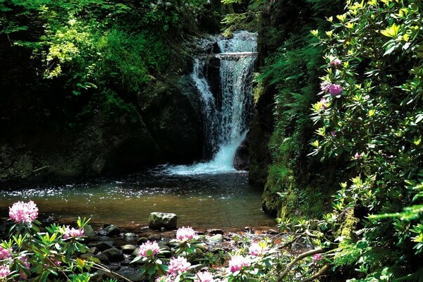 Geroldsauer Wasserflle Bildnachweis: Baden-Baden Kur & Tourismus GmbH