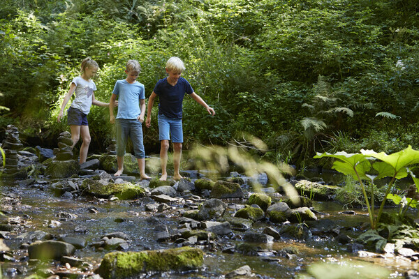 Spielen im Bachlauf Copyright: (Hochschwarzwald Tourismus GmbH/ Christoph D�pper)