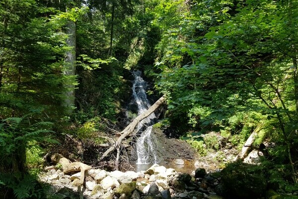 Todtmooser Wasserfall Copyright: (Herrn Peter Umstetter)
