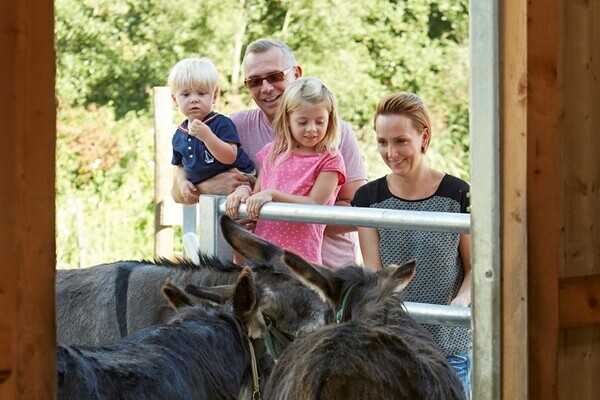 Copyright: (Schramberg Tourismus)  Copyright: (Schramberg Tourismus)
