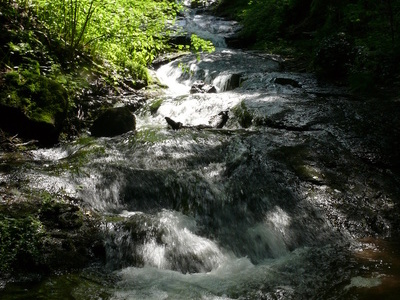 Laufenbach Wasserfälle Bildnachweis: Bürgermeisteramt Loffenau