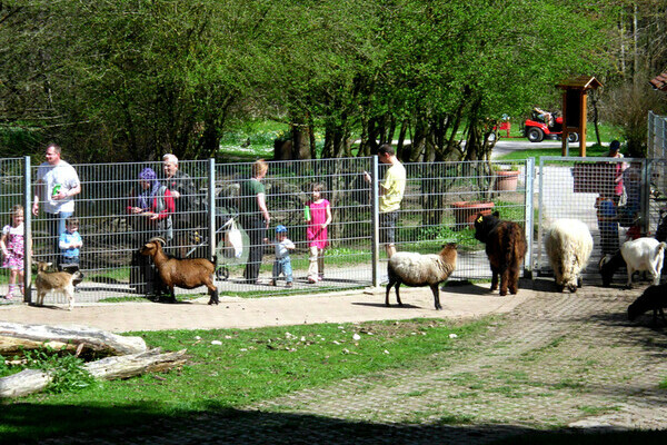 Bildnachweis: Mit freundlicher Genehmigung des Streichelzoos Kappel Bildnachweis: Mit freundlicher Genehmigung des Streichelzoos Kappel