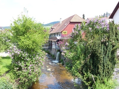 Alte Mühle Bühlertal Bildnachweis:  Museum Geiserschmiede