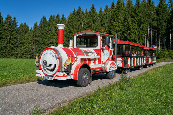 Copyright: (Willi Rosenstiel - Foto: Alexander Bock, AGENTUR 7)  Copyright: (Willi Rosenstiel - Foto: Alexander Bock, AGENTUR 7)