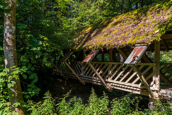 Wolfssteig Bildnachweis:  Tourist-Information Hchenschwand, Fotograf Klaus Hansen