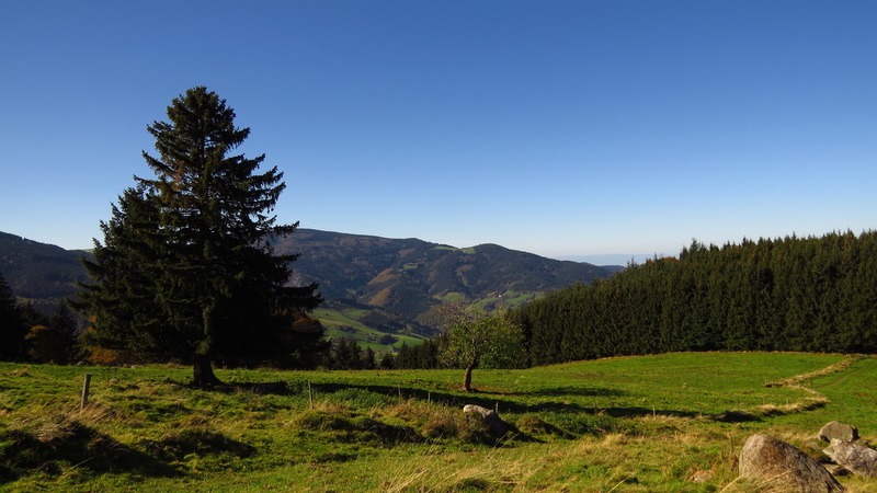 Tote Mann Bei Oberried