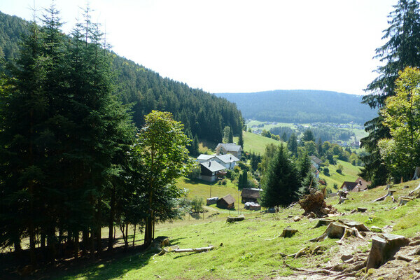 Wildgehege Eulengrund Bildnachweis: Mit freundlicher Genehmigung von Baiersbronn Touristik