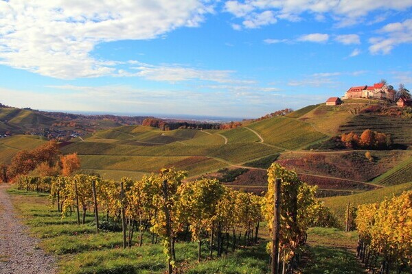 Copyright: (Mit freundlicher Genehmigung der Gemeinde Durbach)  Copyright: (Mit freundlicher Genehmigung der Gemeinde Durbach)